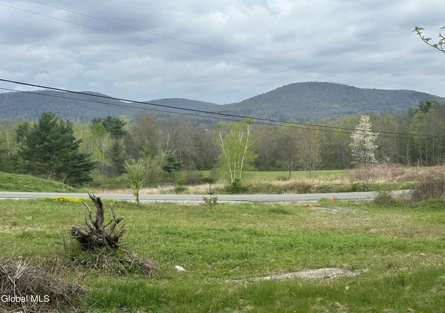 Homes for sale in Stephentown, NY | 336 Presbyterian Hill Rd, Stephentown, NY 12168 | MLS# 202616905