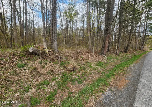 Homes for sale in Grafton, NY | L 27 Ny 2, Grafton, NY 12082 | MLS# 202617274