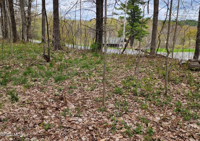 Homes for sale in Grafton, NY | L 27 Ny 2, Grafton, NY 12082 | MLS# 202617274