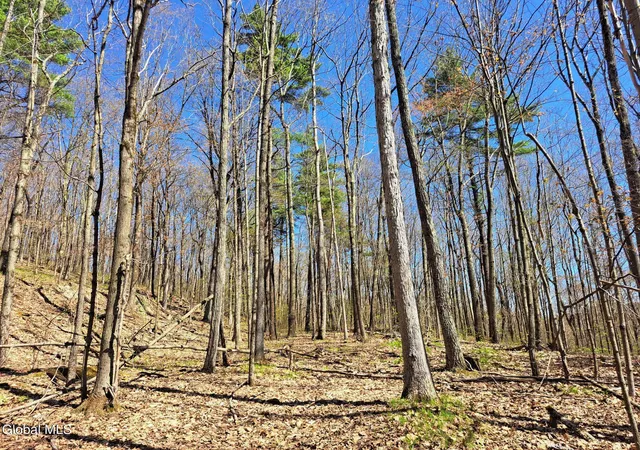 52nd image of 277 Breese Hollow Rd, Hoosick Falls, NY 12090 | MLS# 202617305