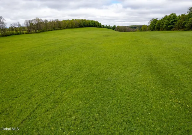 4th image of 229 Scofield Rd, Sharon Springs, NY 13459 | MLS# 202617459