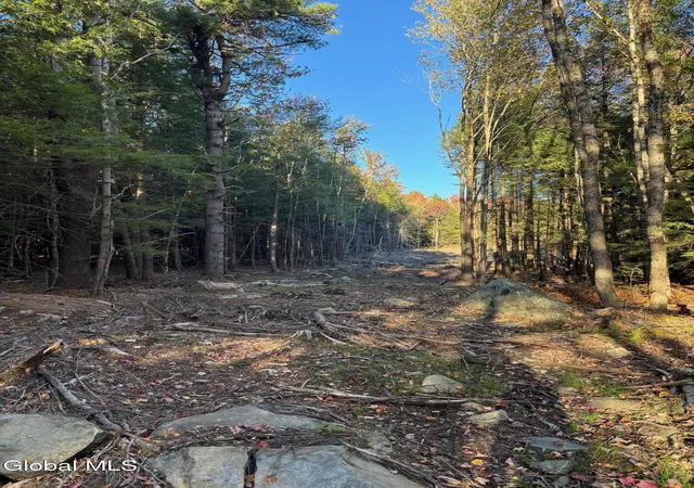 Homes for sale in Sand Lake, NY | L1112 Kipple Rd, Sand Lake, NY 12153 | MLS# 202617468