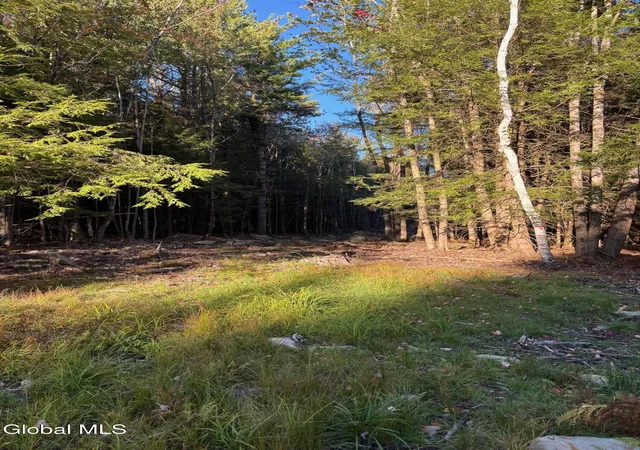 Homes for sale in Sand Lake, NY | L1112 Kipple Rd, Sand Lake, NY 12153 | MLS# 202617468