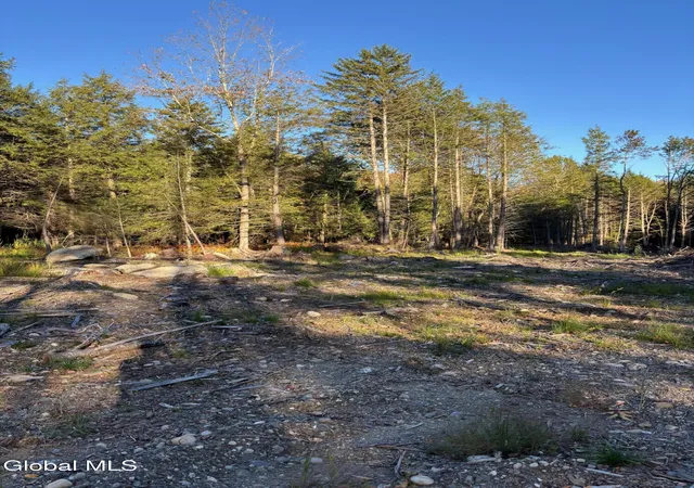 Homes for sale in Sand Lake, NY | L1112 Kipple Rd, Sand Lake, NY 12153 | MLS# 202617468