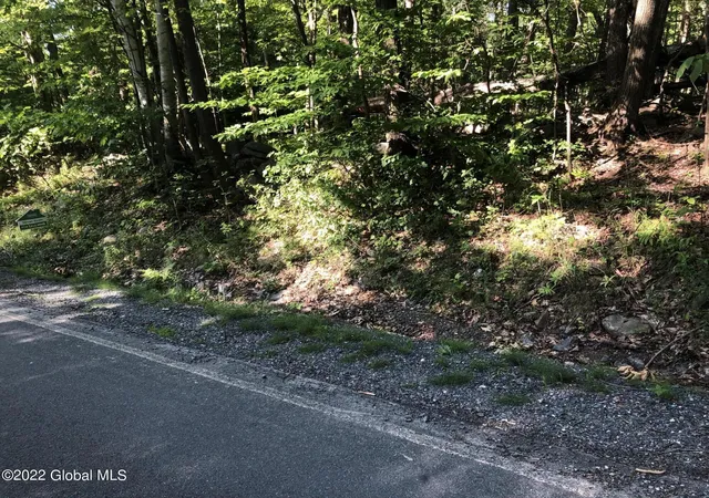 Homes for sale in Grafton, NY | L30 Blue Factory Hill Rd, Grafton, NY 12052 | MLS# 202617491