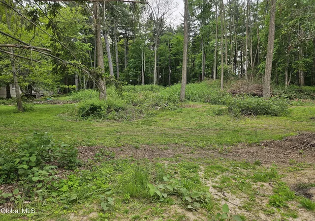 1st image of 85 Willow St, Guilderland, NY 12084 | MLS# 202617578