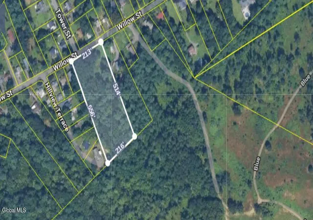 21st image of 85 Willow St, Guilderland, NY 12084 | MLS# 202617578