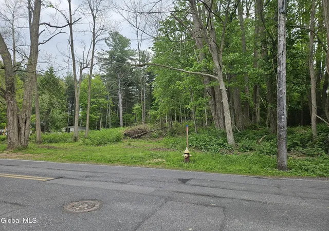 4th image of 85 Willow St, Guilderland, NY 12084 | MLS# 202617578