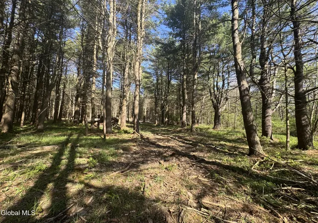 12th image of L3305 Glimmerglen Rd, Cooperstown, NY 13326 | MLS# 202617825