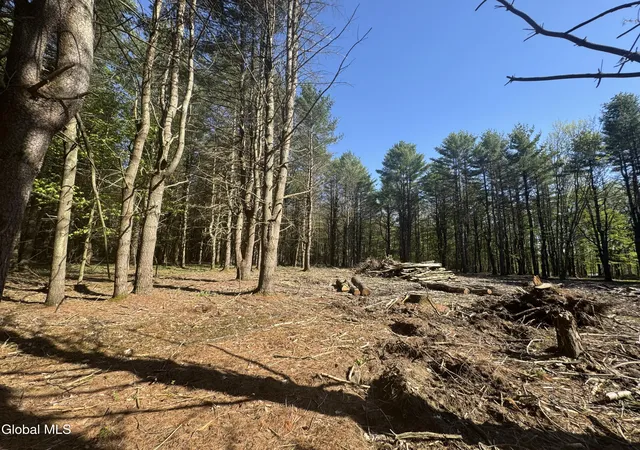 1st image of L3305 Glimmerglen Rd, Cooperstown, NY 13326 | MLS# 202617825