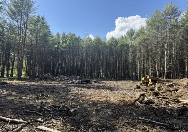 3rd image of L3305 Glimmerglen Rd, Cooperstown, NY 13326 | MLS# 202617825