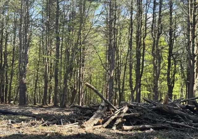 4th image of L3305 Glimmerglen Rd, Cooperstown, NY 13326 | MLS# 202617825