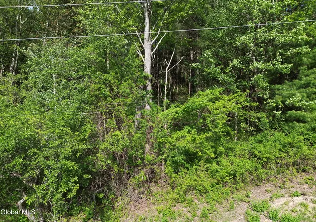 Homes for sale in Cambridge, NY | 264 Conley Rd, Cambridge, NY 12816 | MLS# 202617917