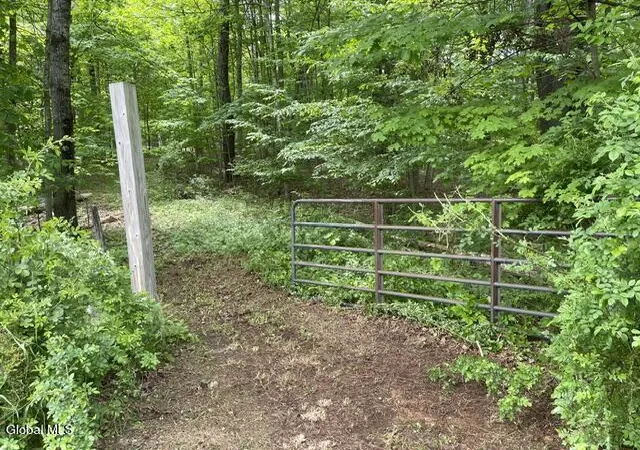 Photo 1 of Land for sale at 467 Roosevelt Ave, Cairo, NY 12413 | MLS# 202617910 | Listing updated on 2026-07-15
