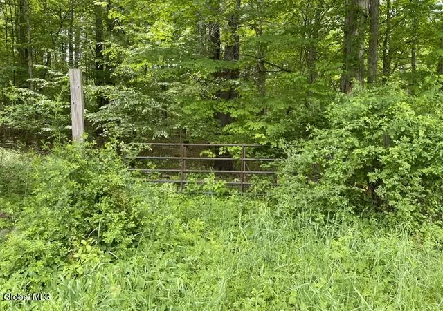 Photo 2 of Land for sale at 467 Roosevelt Ave, Cairo, NY 12413 | MLS# 202617910 | Listing updated on 2026-07-15
