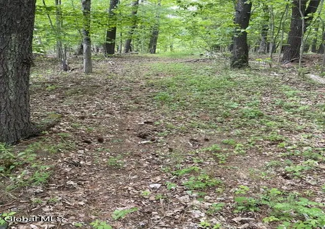 Photo 3 of Land for sale at 467 Roosevelt Ave, Cairo, NY 12413 | MLS# 202617910 | Listing updated on 2026-07-15