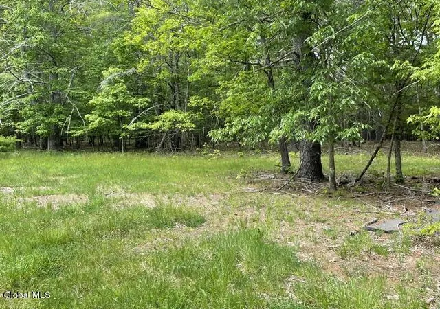 Photo 4 of Land for sale at 467 Roosevelt Ave, Cairo, NY 12413 | MLS# 202617910 | Listing updated on 2026-07-15