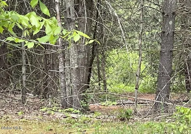 Photo 5 of Land for sale at 467 Roosevelt Ave, Cairo, NY 12413 | MLS# 202617910 | Listing updated on 2026-07-15