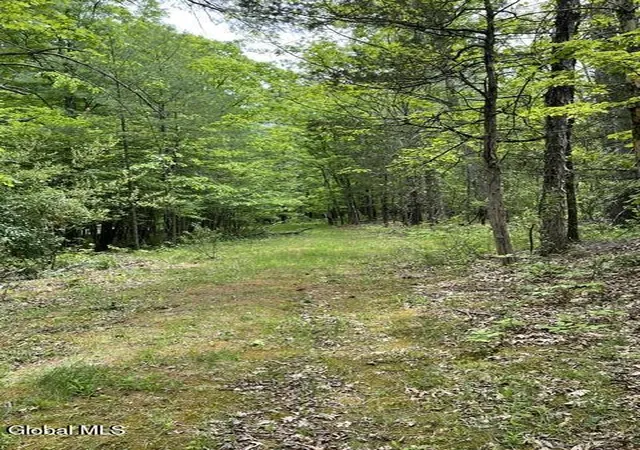 Photo 8 of Land for sale at 467 Roosevelt Ave, Cairo, NY 12413 | MLS# 202617910 | Listing updated on 2026-07-15