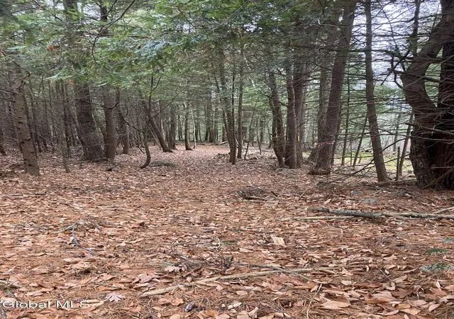 Photo 3 of House for sale at 15114 Scofield Rd, Lake Luzerne, NY 12846 | MLS# 202618014 | Listing updated on 2026-08-25