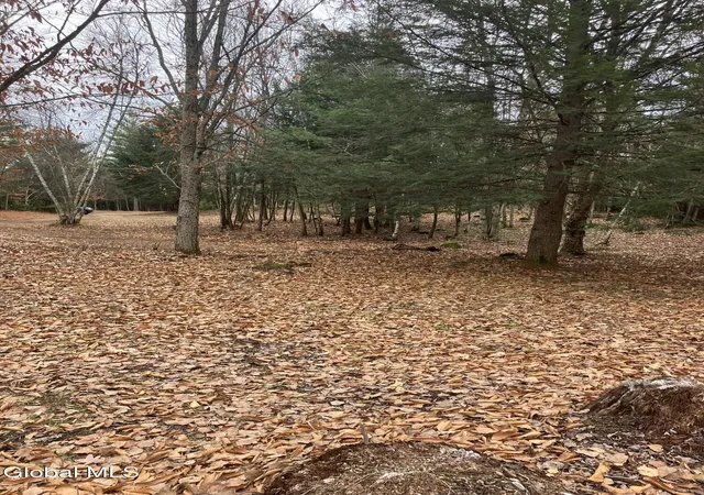 Photo 4 of House for sale at 15114 Scofield Rd, Lake Luzerne, NY 12846 | MLS# 202618014 | Listing updated on 2026-08-25