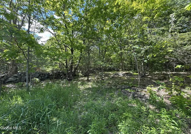 Photo 5 of House for sale at 420 Tillboro Rd, Saint Johnsville, NY 13452 | MLS# 202617955 | Listing updated on 2026-09-03