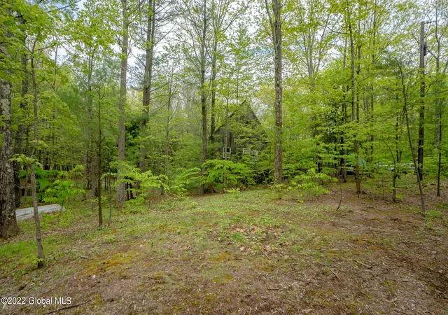 5th image of 8 Robin Ann Ln, Westerlo, NY 12193 | MLS# 202617989