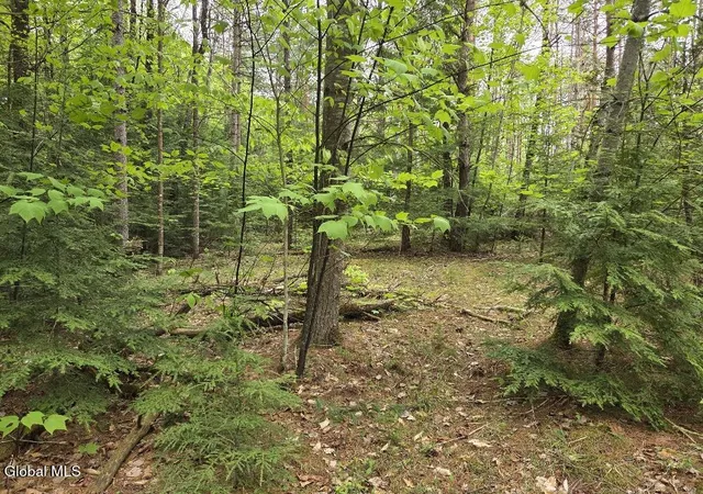 3rd image of L2 & L3 Old Schroon Rd, Pottersville, NY 12860 | MLS# 202618048