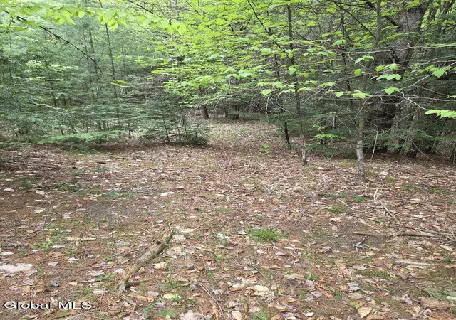 4th image of L2 & L3 Old Schroon Rd, Pottersville, NY 12860 | MLS# 202618048