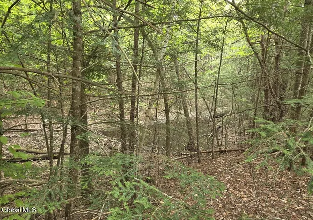 5th image of L2 & L3 Old Schroon Rd, Pottersville, NY 12860 | MLS# 202618048