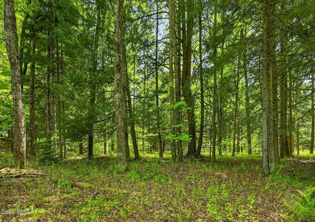 Photo 1 of Land for sale at L16 Crystal Brk Path, Jefferson, NY 12093 | MLS# 202618423 | Listing updated on 2026-09-24