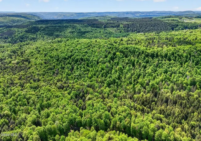 Photo 3 of Land for sale at L16 Crystal Brk Path, Jefferson, NY 12093 | MLS# 202618423 | Listing updated on 2026-09-24