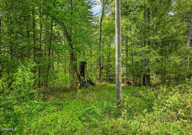 Photo 4 of Land for sale at L16 Crystal Brk Path, Jefferson, NY 12093 | MLS# 202618423 | Listing updated on 2026-09-24