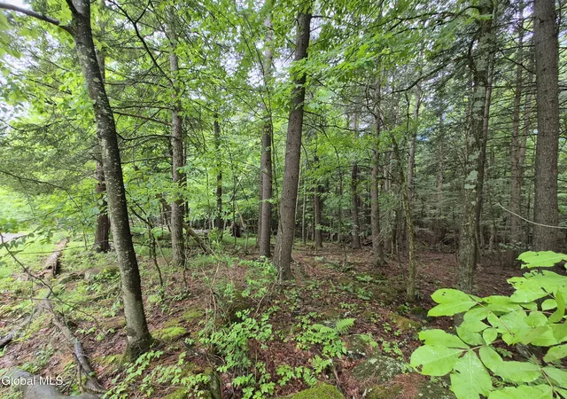 20th image of L12 Goodman Rd, Fort Ann, NY 12827 | MLS# 202618551