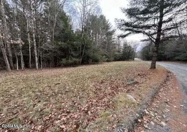 Homes for sale in Grafton, NY | L71 Nugent Rd, Grafton, NY 12082 | MLS# 202618570