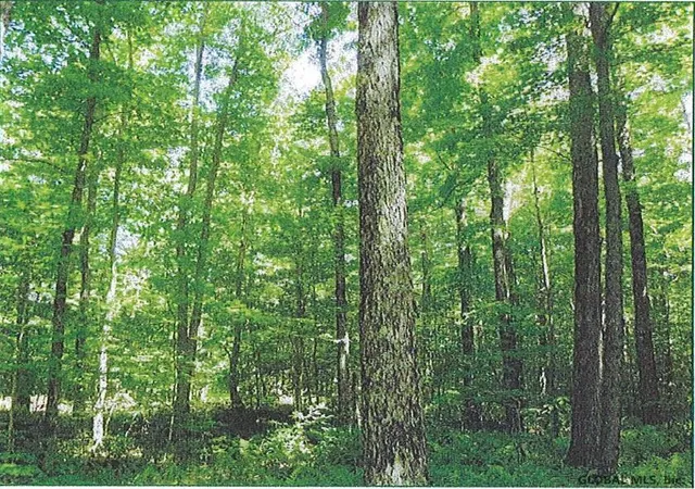Photo 4 of Land for sale at L112 County Hwy 56, Colton, NY 13625 | MLS# 202618615 | Listing updated on 2026-06-04