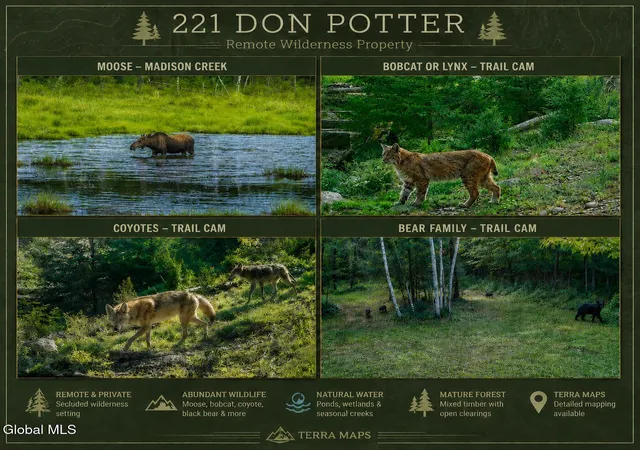 Photo 2 of Sale Pending at 221 Don Potter Rd, Athol, NY 12810 | MLS# 202618932 | Listing updated on 2026-09-17