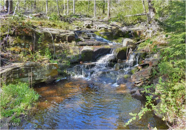 Photo 3 of Sale Pending at 221 Don Potter Rd, Athol, NY 12810 | MLS# 202618932 | Listing updated on 2026-09-17