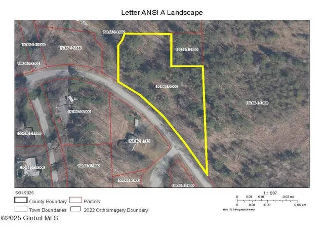 Homes for sale in Ticonderoga, NY | L3 Pine Springs Dr, Ticonderoga, NY 12883 | MLS# 202618833