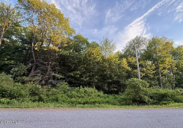 2nd image of 107 Scout Rd, Gansevoort, NY 12831 | MLS# 202619004