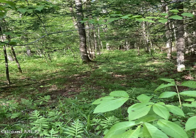 Homes for sale in Crown Point, NY | L3 Breed Hill Road, Crown Point, NY 12928 | MLS# 202618927