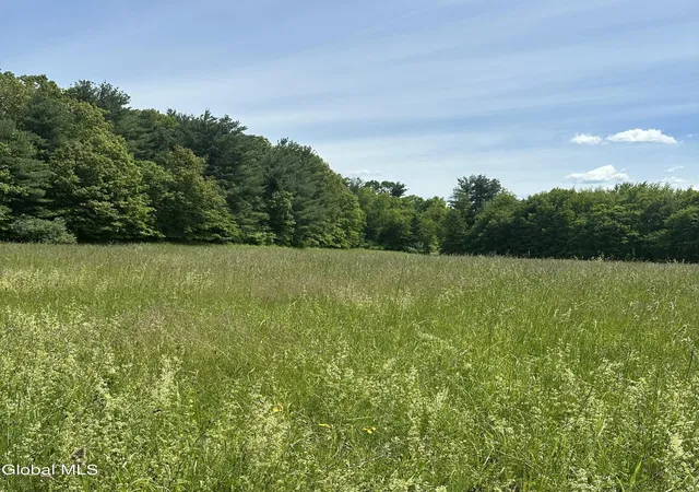 Homes for sale in Ghent, NY | 171 Orchard Rd, Ghent, NY 12075 | MLS# 202619043