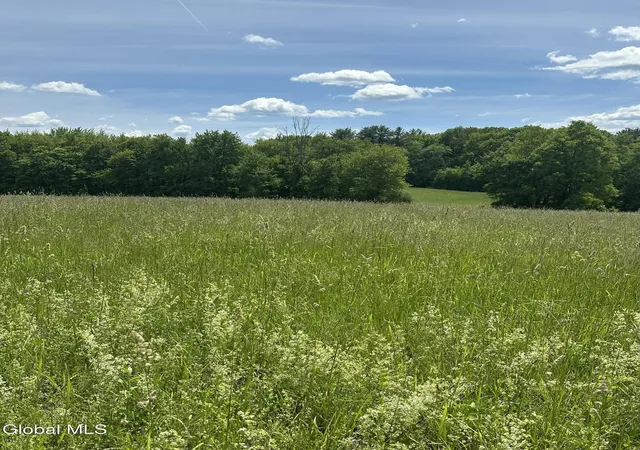 Homes for sale in Ghent, NY | 171 Orchard Rd, Ghent, NY 12075 | MLS# 202619043
