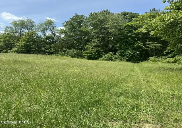 Homes for sale in Ghent, NY | 171 Orchard Rd, Ghent, NY 12075 | MLS# 202619043
