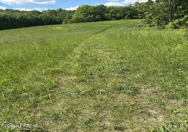 Homes for sale in Ghent, NY | 171 Orchard Rd, Ghent, NY 12075 | MLS# 202619043