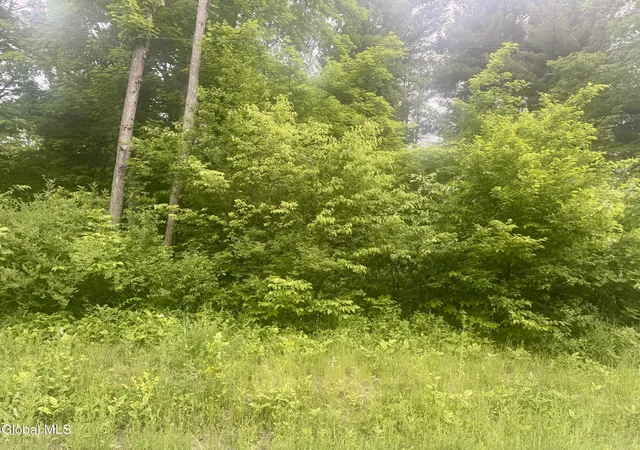 1st image of L2 Reynolds Rd, Duanesburg, NY 12137 | MLS# 202619033