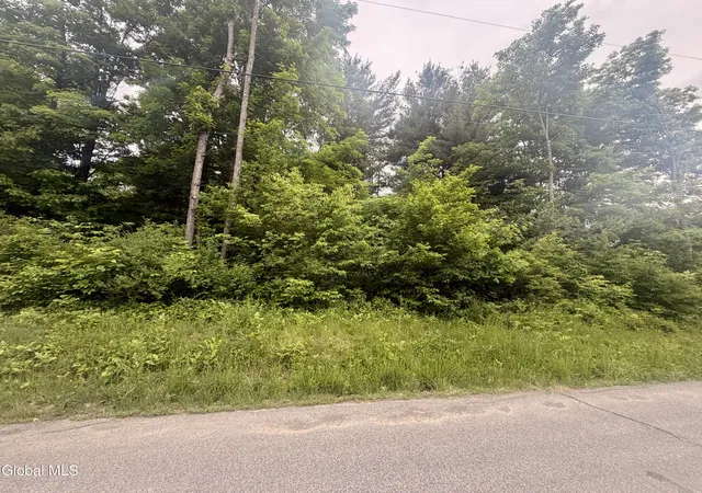 2nd image of L2 Reynolds Rd, Duanesburg, NY 12137 | MLS# 202619033