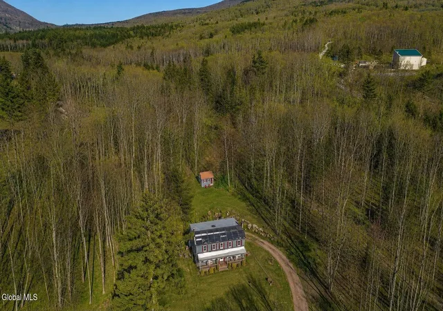 Homes for sale in Hunter, NY | 130 Lustig Rd, Hunter, NY 12442 | MLS# 202619119