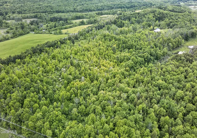 4th image of 0 Joslyn School Rd, Berne, NY 12186 | MLS# 202619111