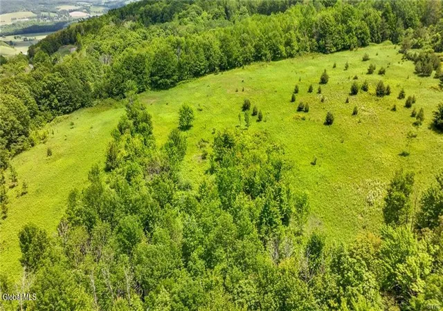 Photo 2 of Land for sale at L16 Bush St, Cobleskill, NY 12043 | MLS# 202619086 | Listing updated on 2026-06-11